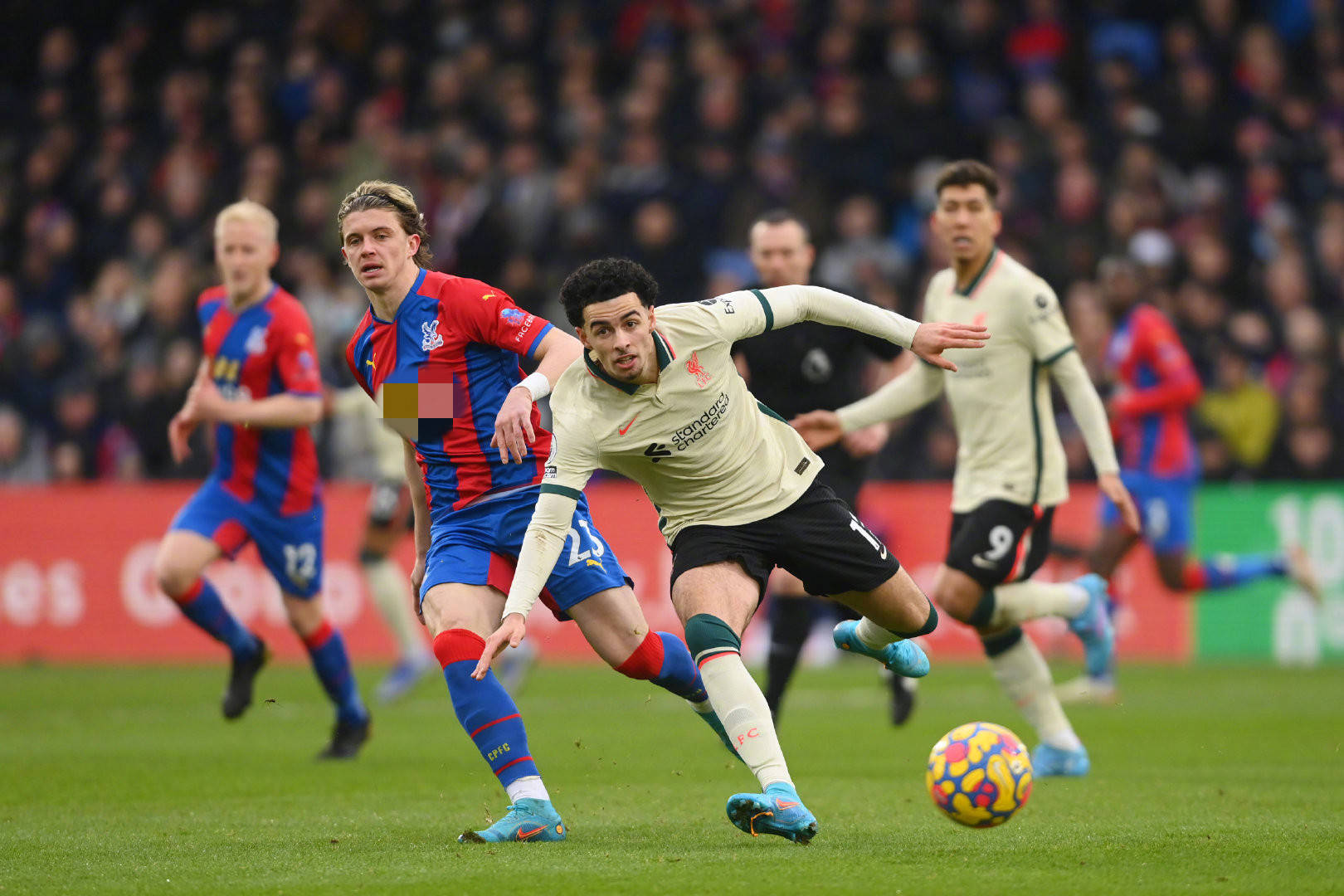 球队会重新 球队会重新